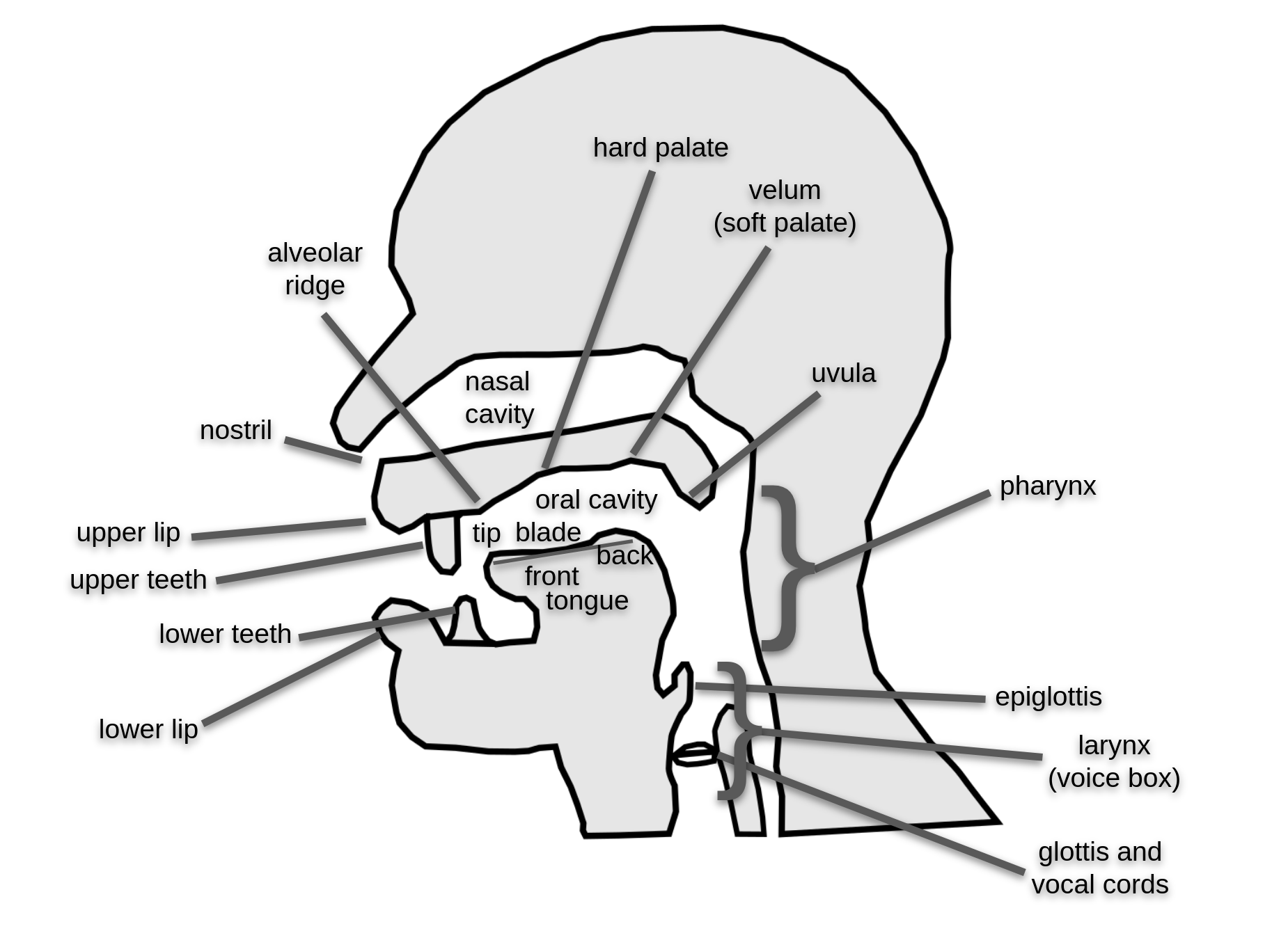 An image from the static